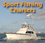 miami fishing charters